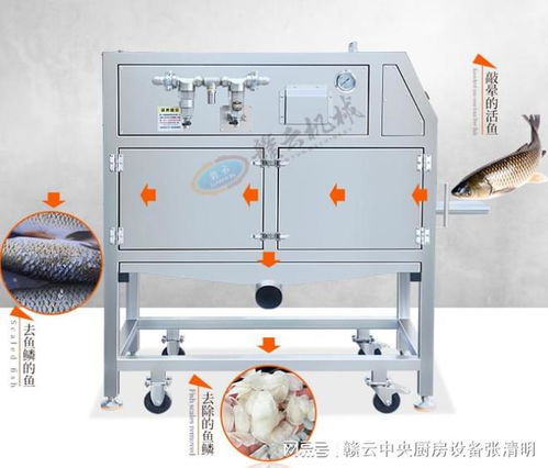大型鱼丸加工设备全自动鱼类水产深加工机器
